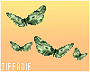 T e Money Butterflies!