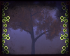 🍂 iForest