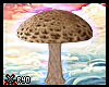 ✘Mushroom