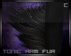 C∙ Tonic Arm Fur