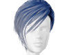 Victoria Custom Blue