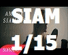 Soprano-Amour-Siamois