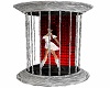 Wall Dance Cage