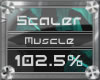 (3) Chest/Mscle (102.5%)