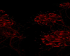 [Starâ] Red Background
