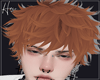 H ◄Petruk►Ginger