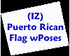 (IZ) Flag Puerto Rican