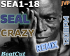 SEAL Crazy - Remix 2k25
