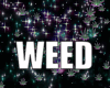 DJ Trigger Weeds