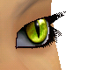 Green Cat Eyes [F]