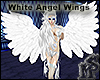 White Angel Wings M/F