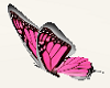 7 Pink Butterflies