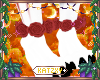 ꨄSparta Roses 30ꨄ