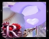 !R! Bear P Ears