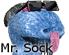 Mr. Sock