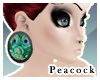 -P- XXL Peacock Plugs! F