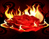 fire rose