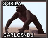 Gorila Animate V1