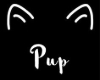 Daddys Puppy Collar