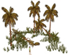GREEN  DESERT PALM2
