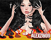 Set Lace Brow x Alx