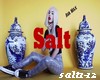 SALT- salt1-12