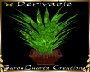 Plant and pot derivable