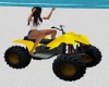 Beach Cycle _ YELLOW