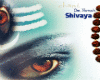 Om Namah Shivaya (3)