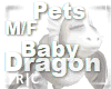 R|C Baby Dragon White MF