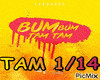 BUM BUM TAM TAM (REMIX)