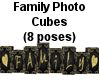 (MR) Family Pose Cubes