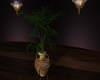 (SL) {Vinranka} Plant