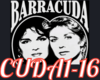BARRACUDA 1
