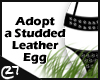 Adopt a Studded Egg!