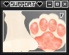 S | Perle Paws v1.2