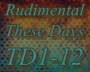 [BM]Rudimental-Thesedays