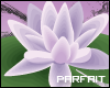 (*Par*) Purple Lotus