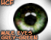 HCF grey green male eyes