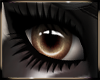 Gemma Eyes V.1 M/F