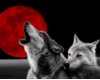 Wolves Under Red Moon