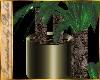 I~Gold Yucca Plant
