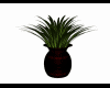 Black red plant pot