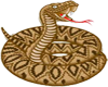 (KD) Snake sticker
