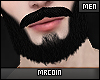 🔻MD Exclusive Beard