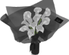 White Calla