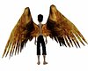 infernal wings (anim)