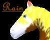 Rain Horse Pet