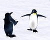 Snow Animated Penguins