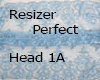 H| Perfect Head 1A